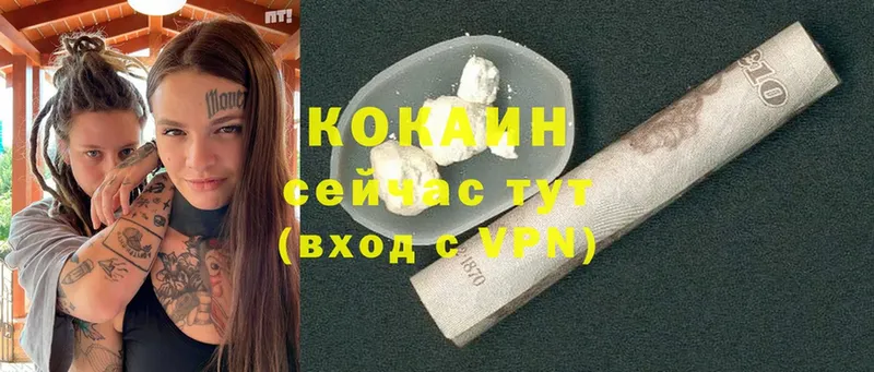 купить  сайты  Гуково  Cocaine FishScale 