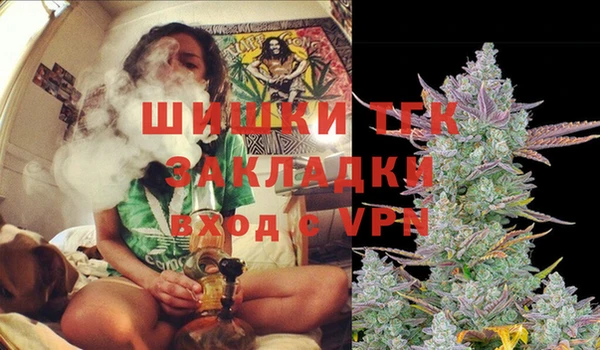 Альфа ПВП Горно-Алтайск