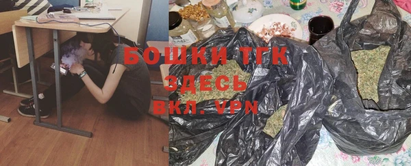 тгк Горнозаводск