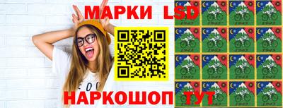прущие грибы Гатчина