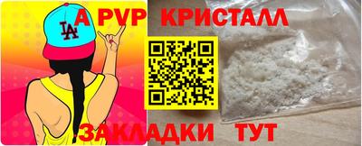 прущие грибы Гатчина