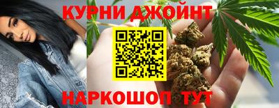 прущие грибы Гатчина