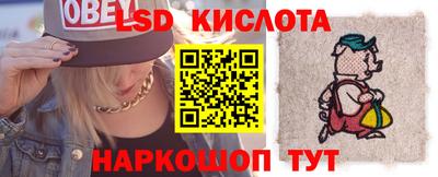 прущие грибы Гатчина