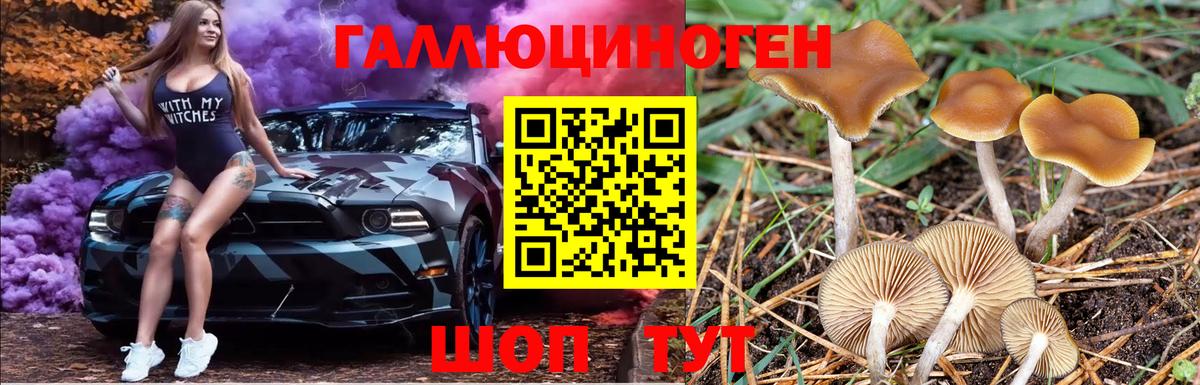 Псилоцибиновые грибы мицелий  Гуково  Псилоцибиновые грибы Cubensis 