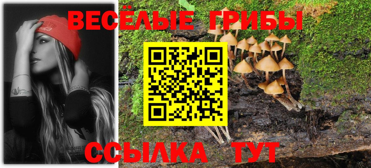 Псилоцибиновые грибы мицелий Гуково