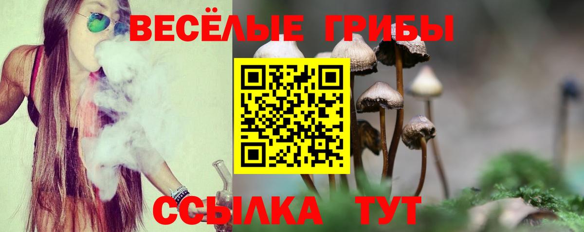 Галлюциногенные грибы мицелий Гуково